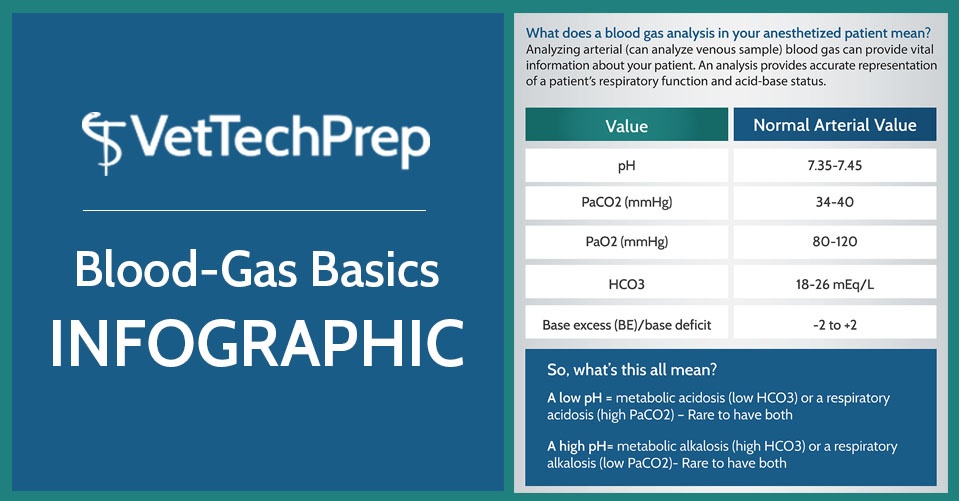 Infographic BloodGas Basics, What’s it all mean Vet Tech?