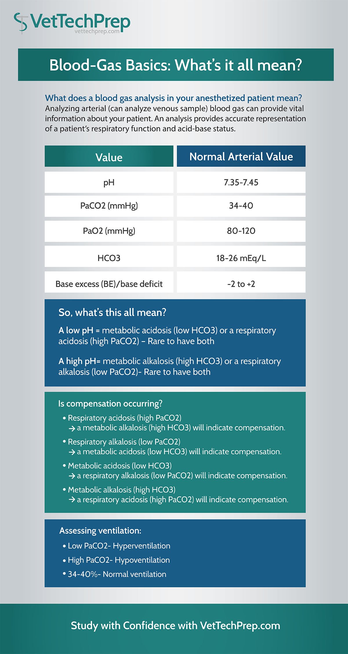 Infographic BloodGas Basics, What’s it all mean Vet Tech?