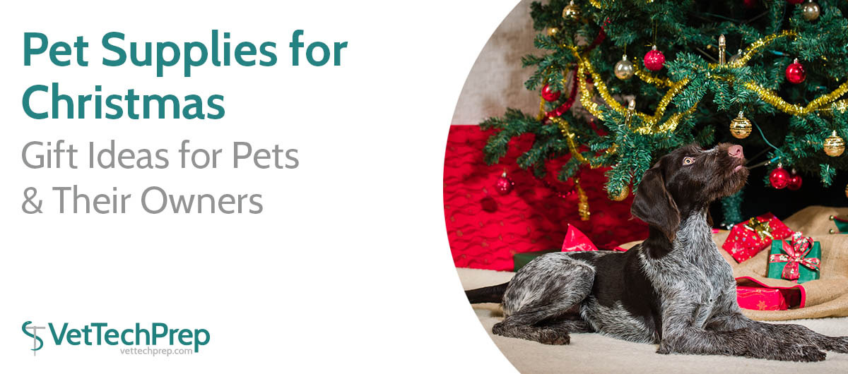 Tis the Season: Great Gifts for Pet Owners