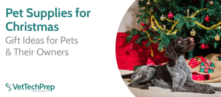 Gifts for Pets and Their Owners