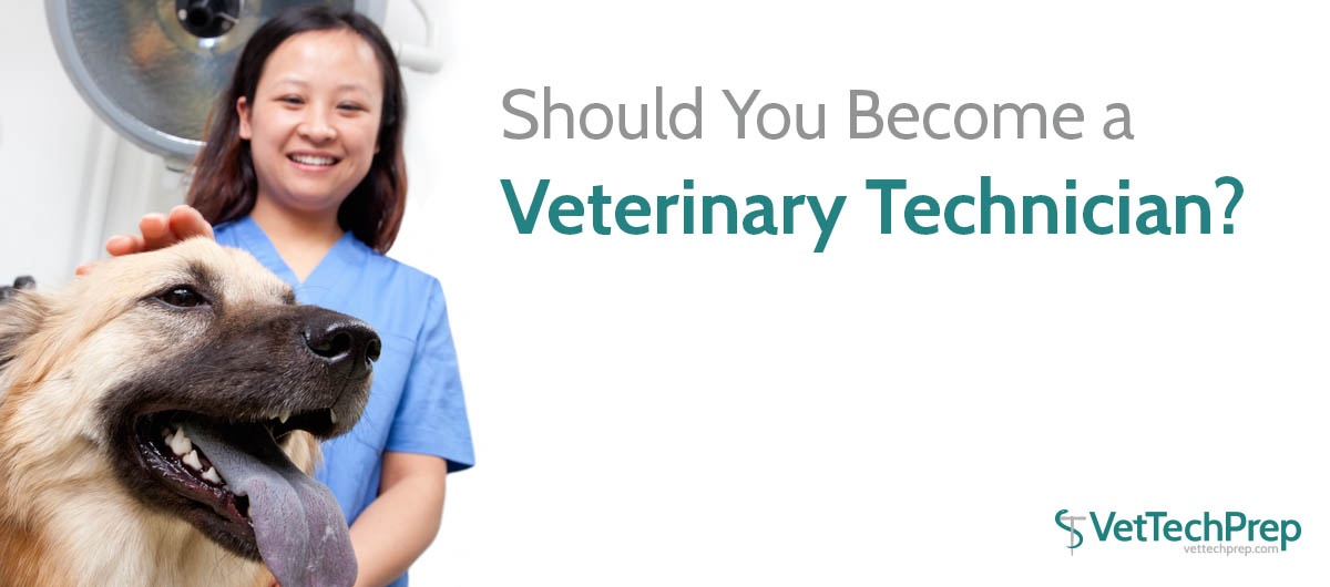 Should You Become a Veterinary Technician?