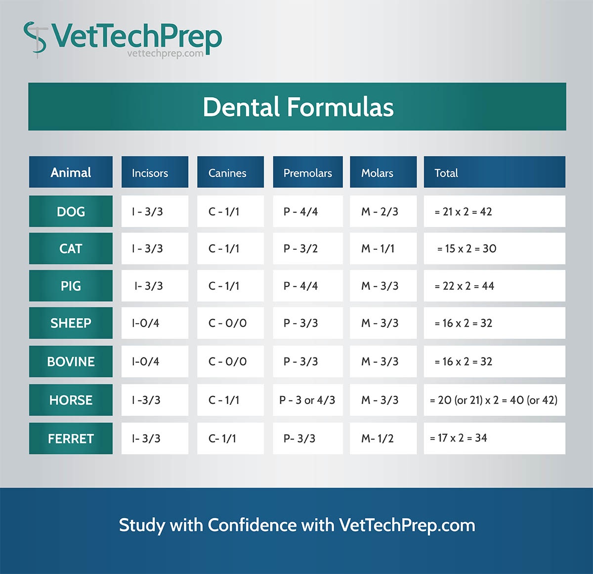 Does Pet Lab Dental Formula Work Vet Tech Infographic: Dental Formulas