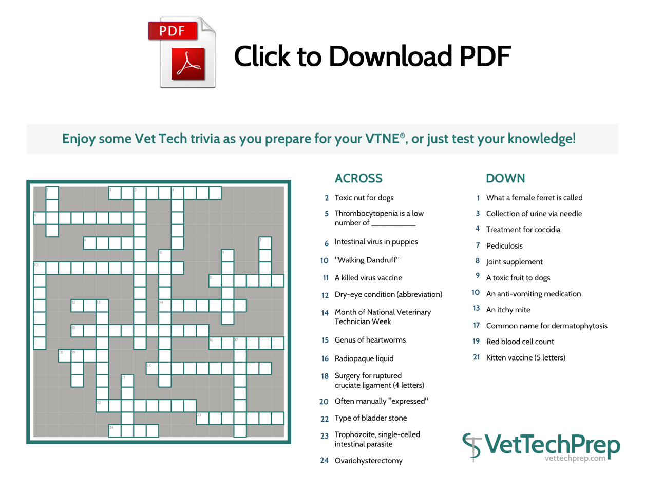 Crossword Puzzle: Things Vet Nurses Know About